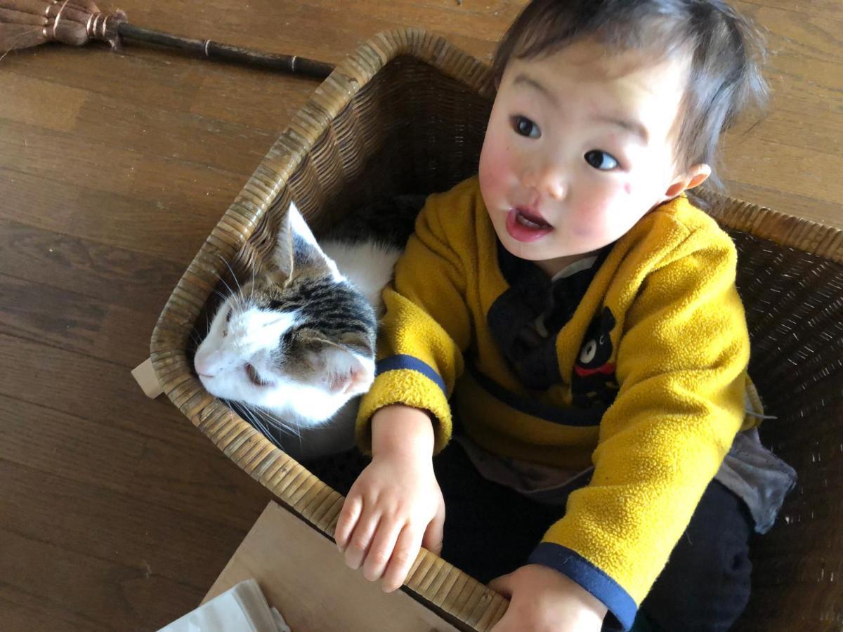 诺特拉克山林小屋 二世古 外观 照片